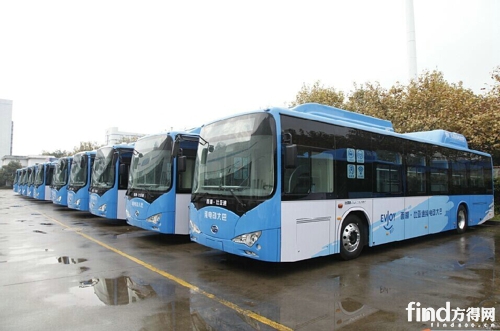 杭州已投入运行300多辆比亚迪纯电动公交车高清图片