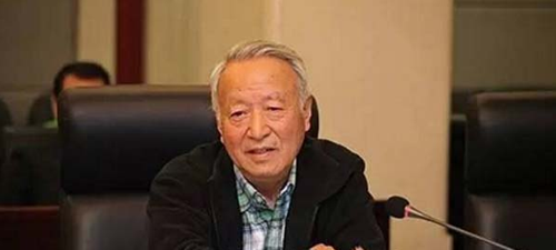 王秉刚对北京新能源汽车推广评价与建议_方得