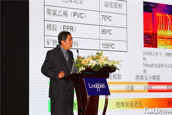第五届中国新能源汽车产业发展论坛 (4)