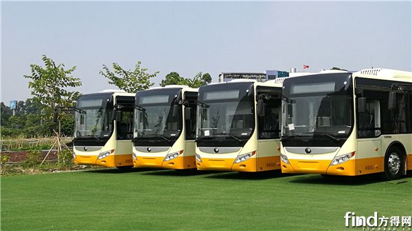 广州纯电动公交车