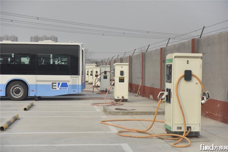 北京一客运公司采购600多辆新能源车！ (4)