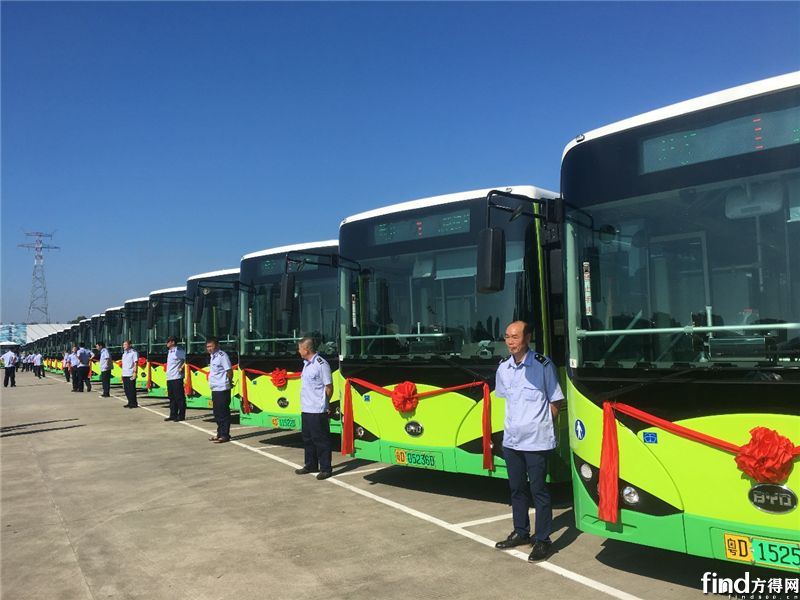 比亚迪600台便民纯电公交交付 (2)