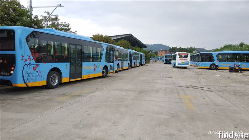 梅州公交100辆海格风景纯电观光巴士