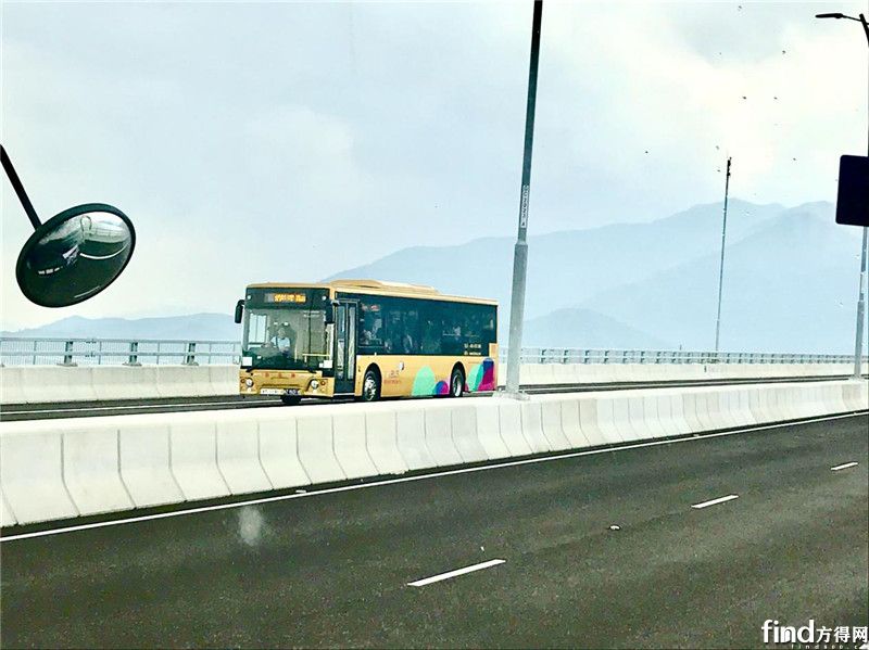 港珠澳大桥通车，苏州金龙海格穿梭巴士先乘为快 (9)
