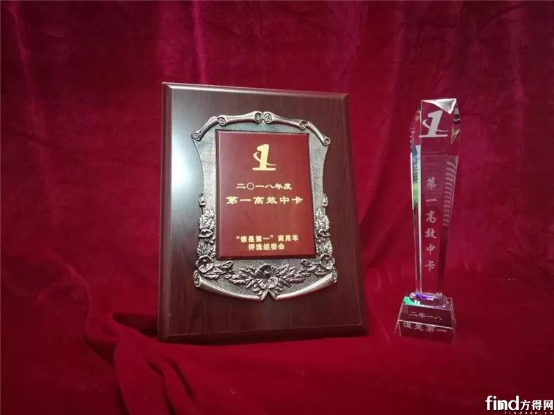 江淮轻卡荣获“2018‘谁是第一’商用车年度评选”两项大奖 (2)