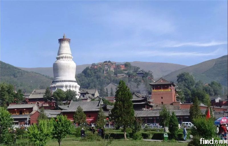 100辆江铃特顺 (2)