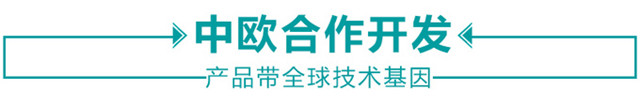 皮卡 (8)