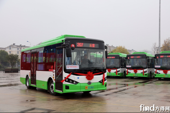 比亚迪纯电动公交车首投泗阳 绿色公交再添新动能436
