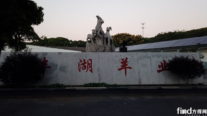 图片1