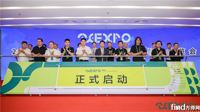 图片6
