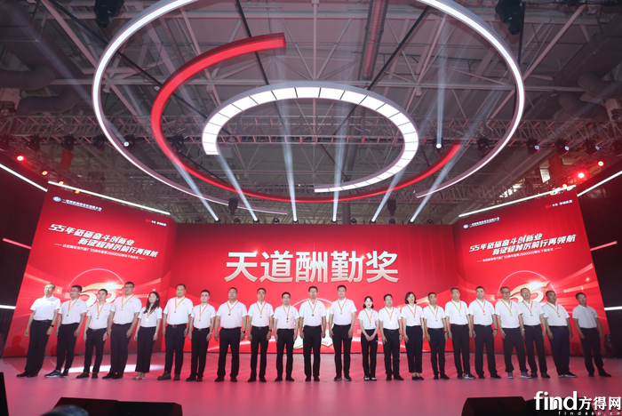 图片10