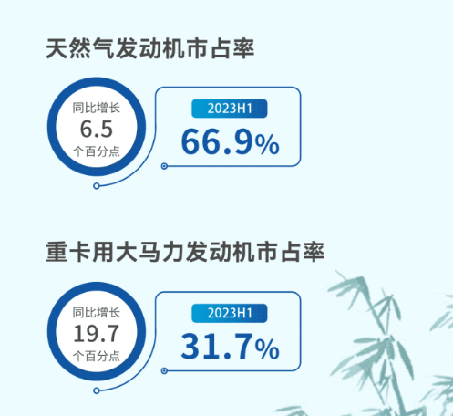 天然气发动机1