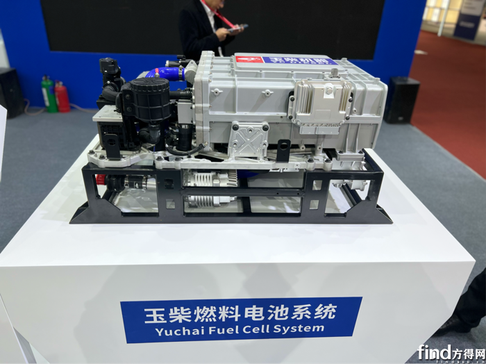 图片11