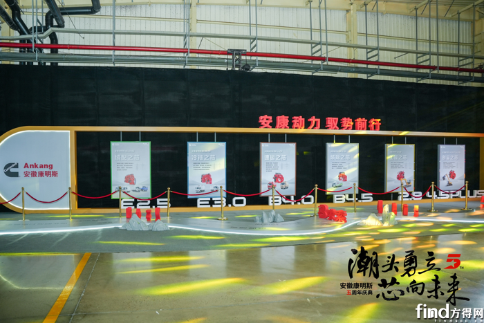图片6