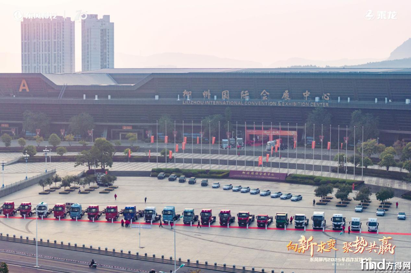 图片7