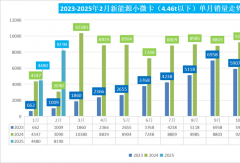 2月新能源小微卡暴涨165% 奇瑞/福田争第二 