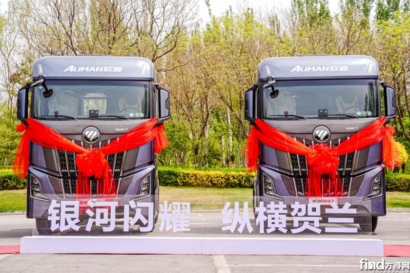 图片6