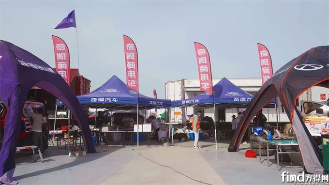 图片7