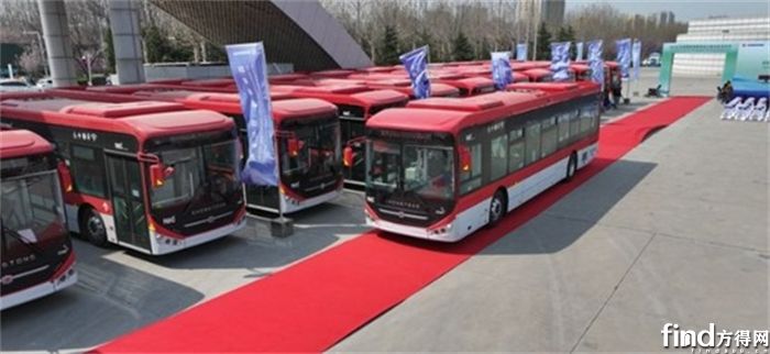 图片9
