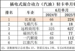 增幅第一、销量第二 比亚迪混动轻卡6月成绩背后的实力剖析