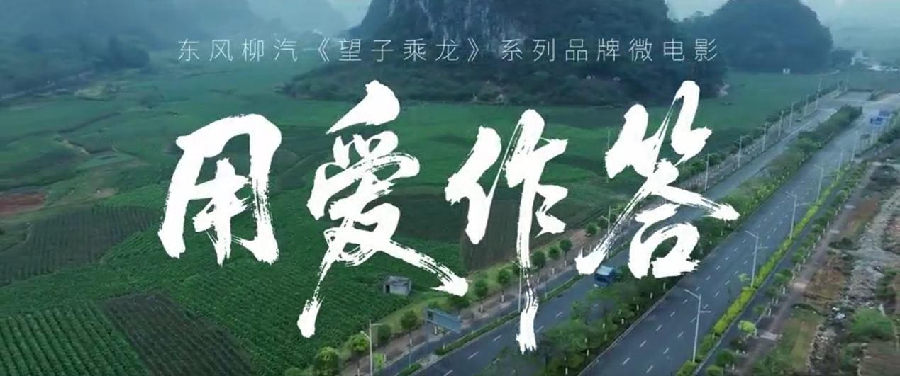 图片223