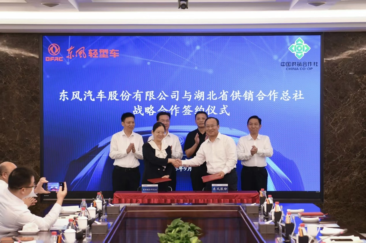 图片268