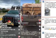 江淮悍途PHEV借“上身基础下身不基础”解锁用户生活新可能