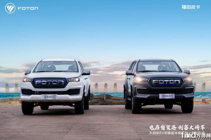 福田皮卡2