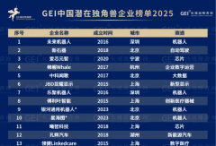 DeepWay深向连续两年上榜“GEI中国潜在独角兽企业榜单2025”