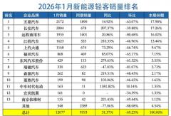 五菱/长安/远程缠斗前三 江铃/东风暴涨200%！新能源轻客1月新变局