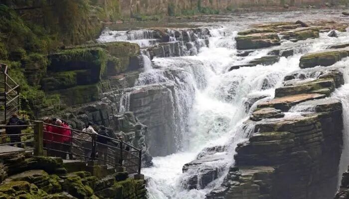 微信图片_20260323093148