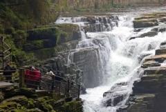 实力圈粉｜恩施客户：省油、噪音小，中通H系旅团客车值得推荐！