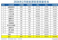 远程力压五菱夺冠！上汽/江铃份额增8%！新能源轻客2月跌55% 如何解读？