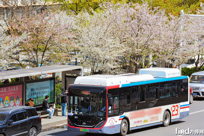 微信图片_20260331131500