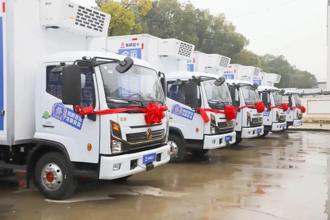 微信图片_20260401115503