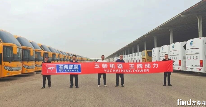 图片9