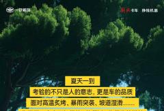 新领途出马，这“夏”赚了