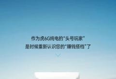 仅虎6G用户可见