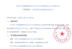 湖北35台纯电动客车公开招标！