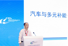 泰达论坛丨姚占辉：汽车与多元补能体系融合发展的实践与思考