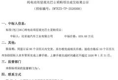 比亚迪又中标！拿下这一新能源车项目