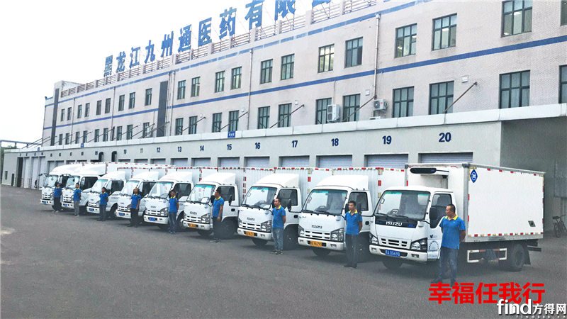 轻卡销售:市场动态与前景展望
